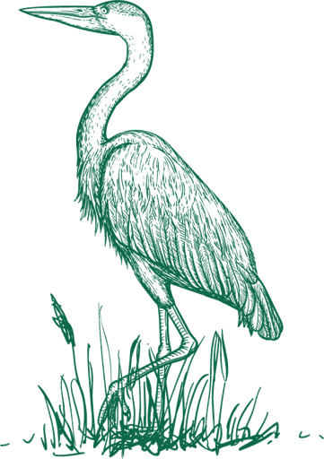 Carolina Custom Surfaces heron mark